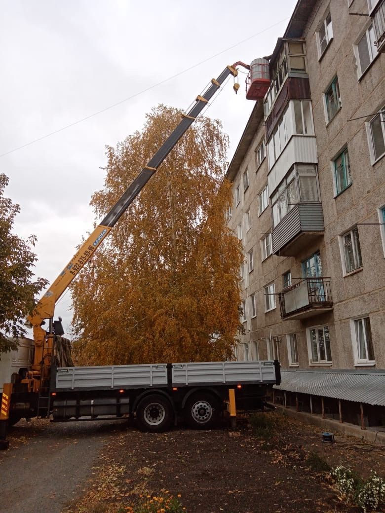 Перевозка контейнеров в Сургуте - доставка и транспортировка контейнеров по  выгодной цене